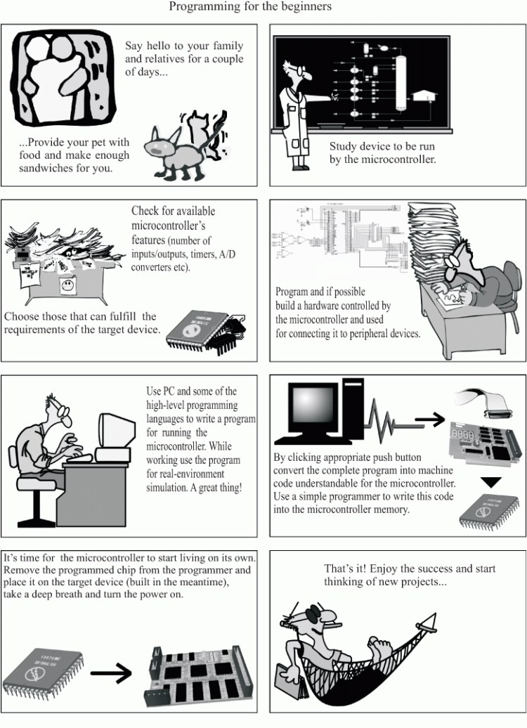 Programming for the beginners