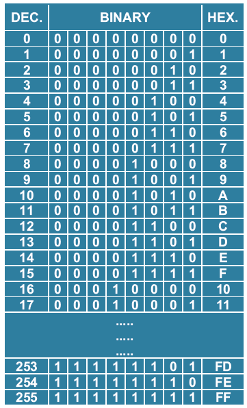 Binary Number Converter Chart