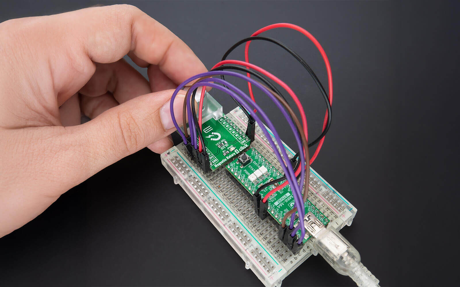 Essential Guide to Using a Breadboard - 2