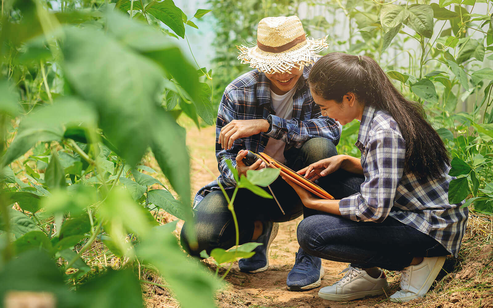 How Ground Moisture Sensors Improve Agriculture - 2