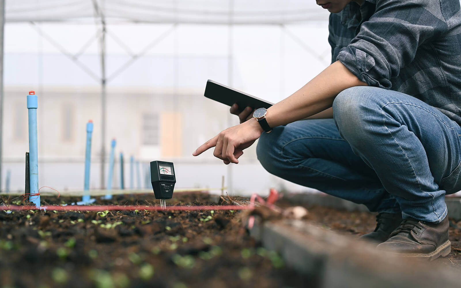 How Ground Moisture Sensors Improve Agriculture - 3