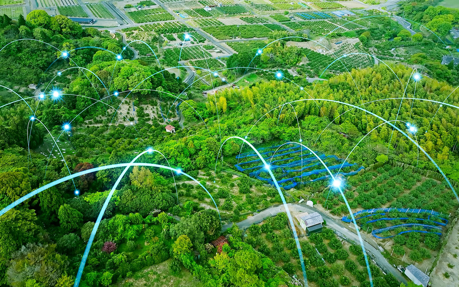 Wireless Sensor Networks: Topologies, Protocols, and Click board™ Solutions - 1